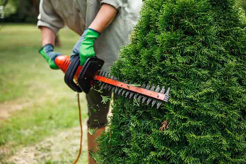 Sprinkler Systems in Rexburg, ID